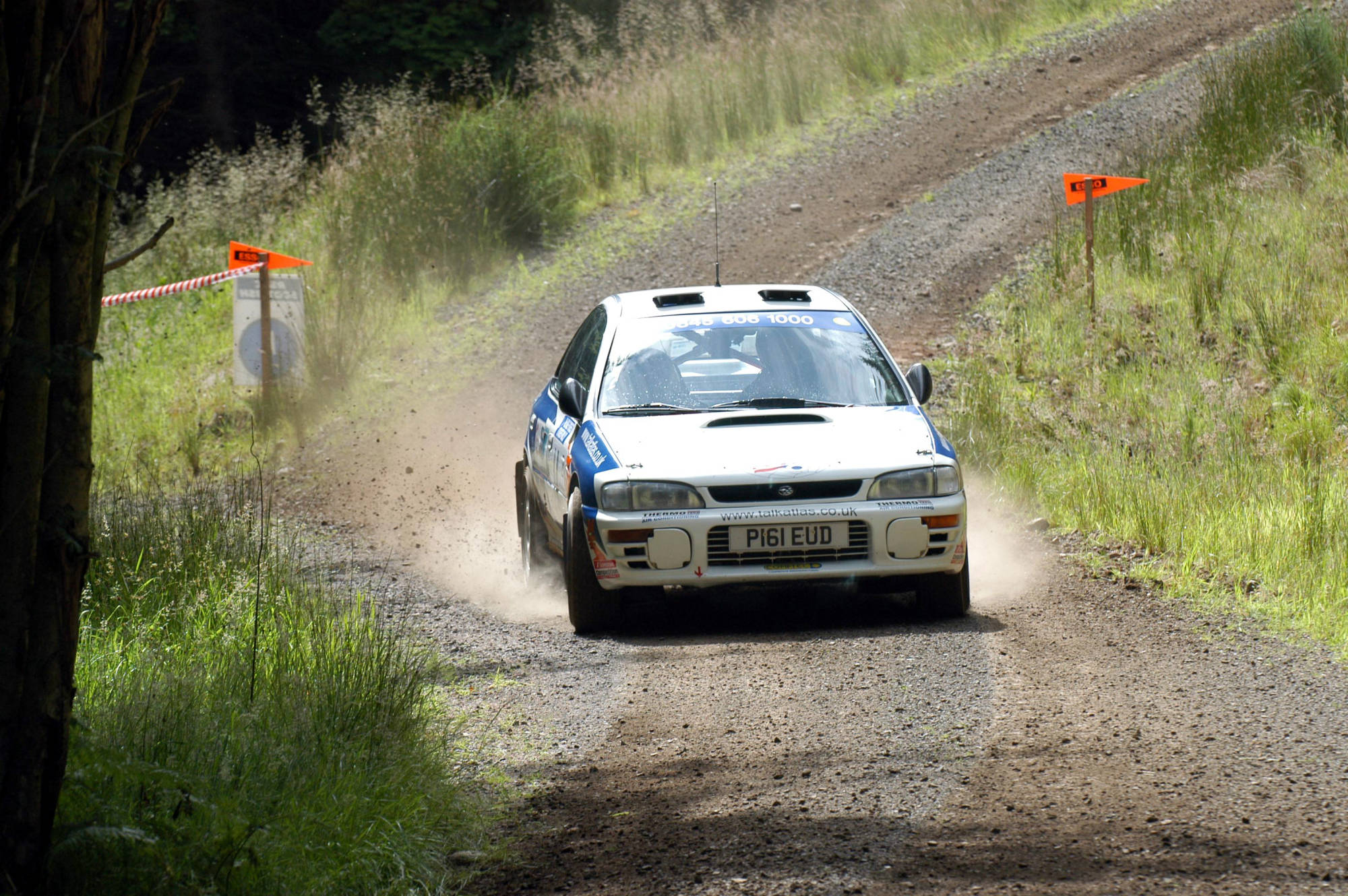 McRae Stages